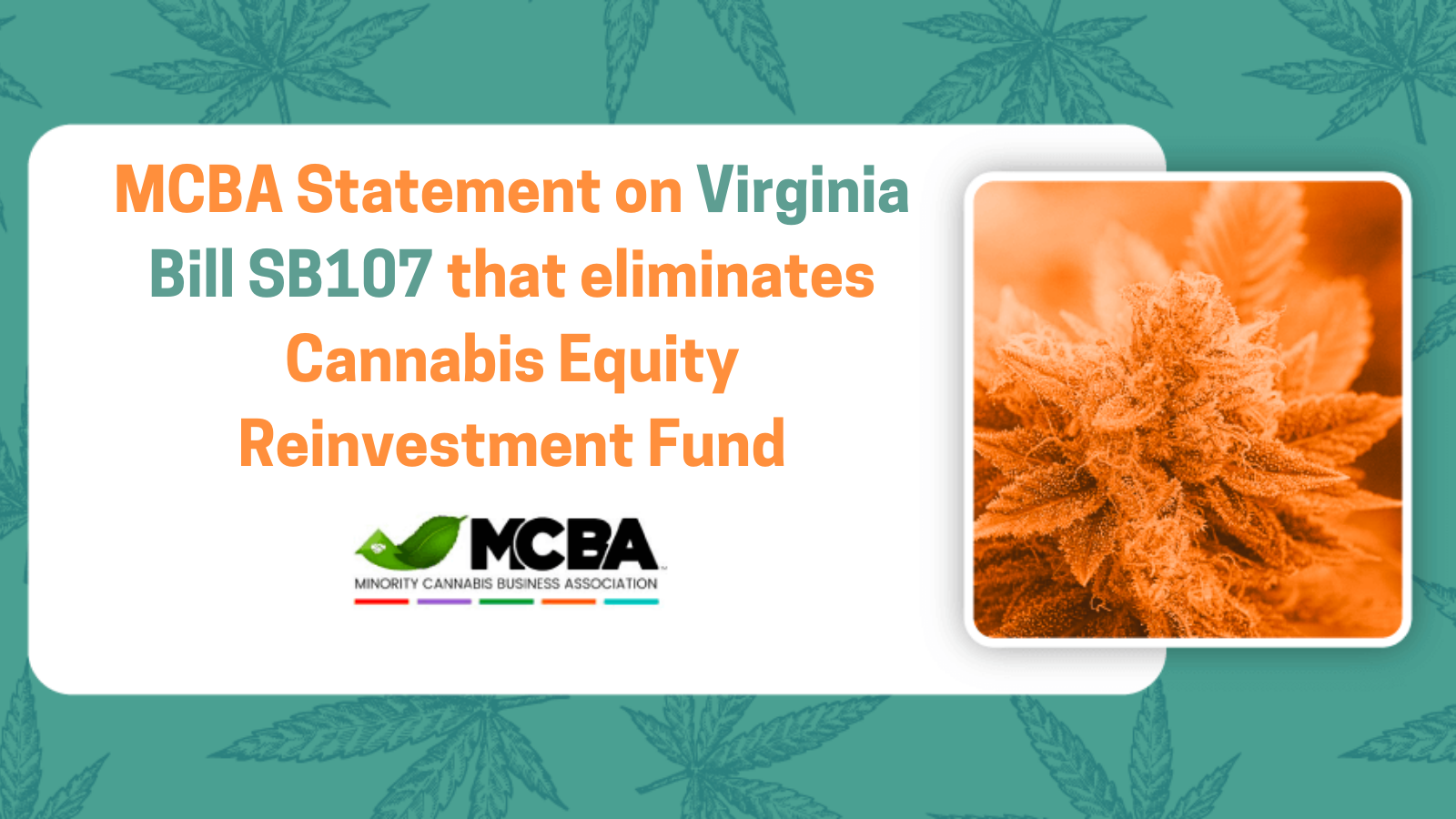 Featured image for “MCBA statement on Virginia Bill SB107 that eliminates Cannabis Equity Reinvestment Fund”