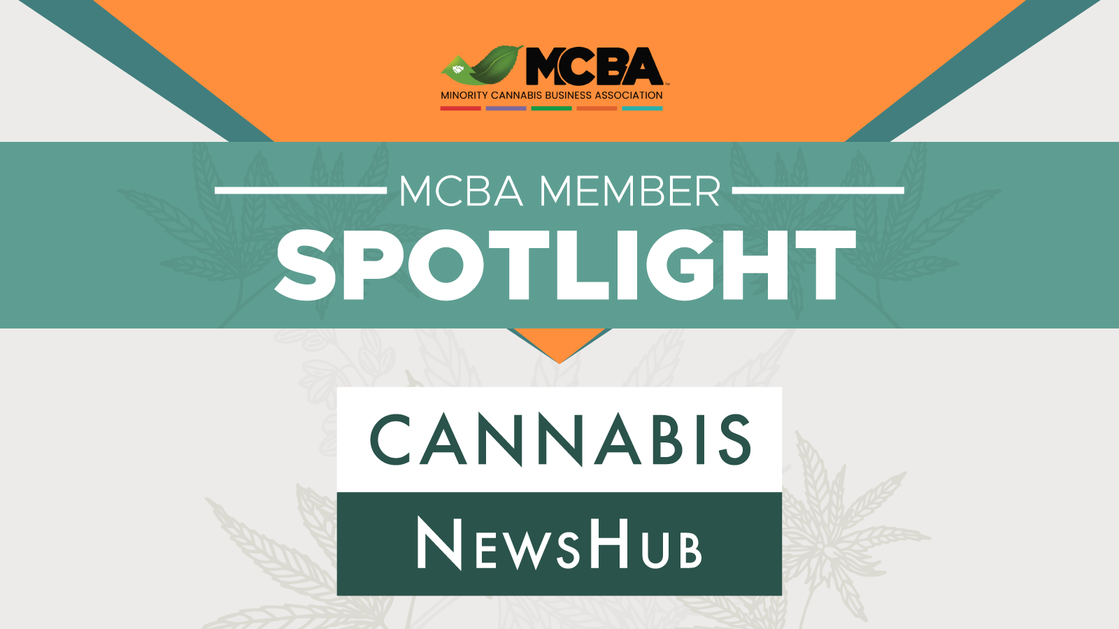Featured image for “Member Spotlight: Cannabis NewsHub”