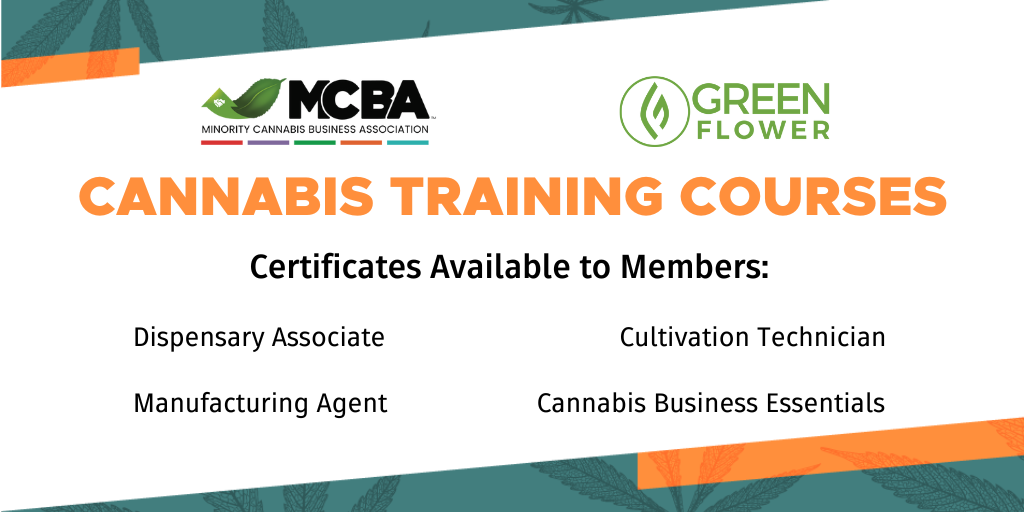 Featured image for “Minority Cannabis Business Association (MCBA) Announce Partnership with Green Flower to Provide Members with Free Cannabis Training Courses”