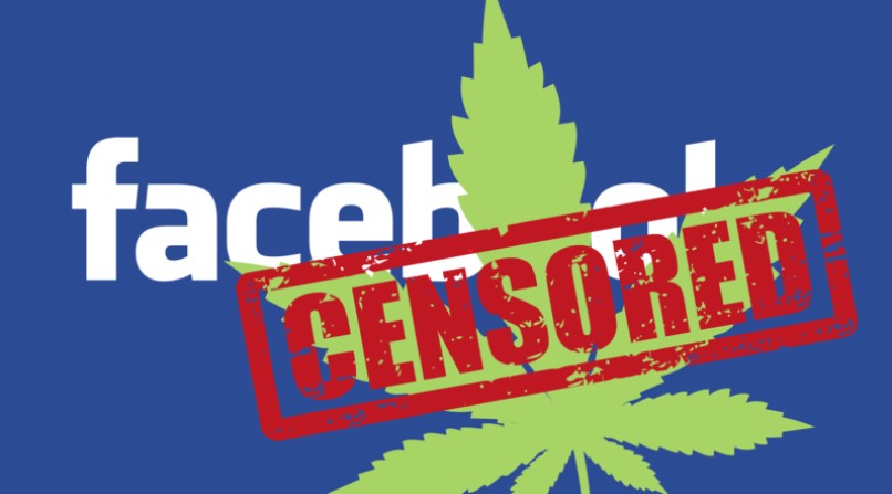 Featured image for “Meta’s Free Speech Shift Spotlights Ongoing Cannabis Industry Digital Discrimination”